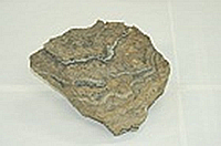 R3-1